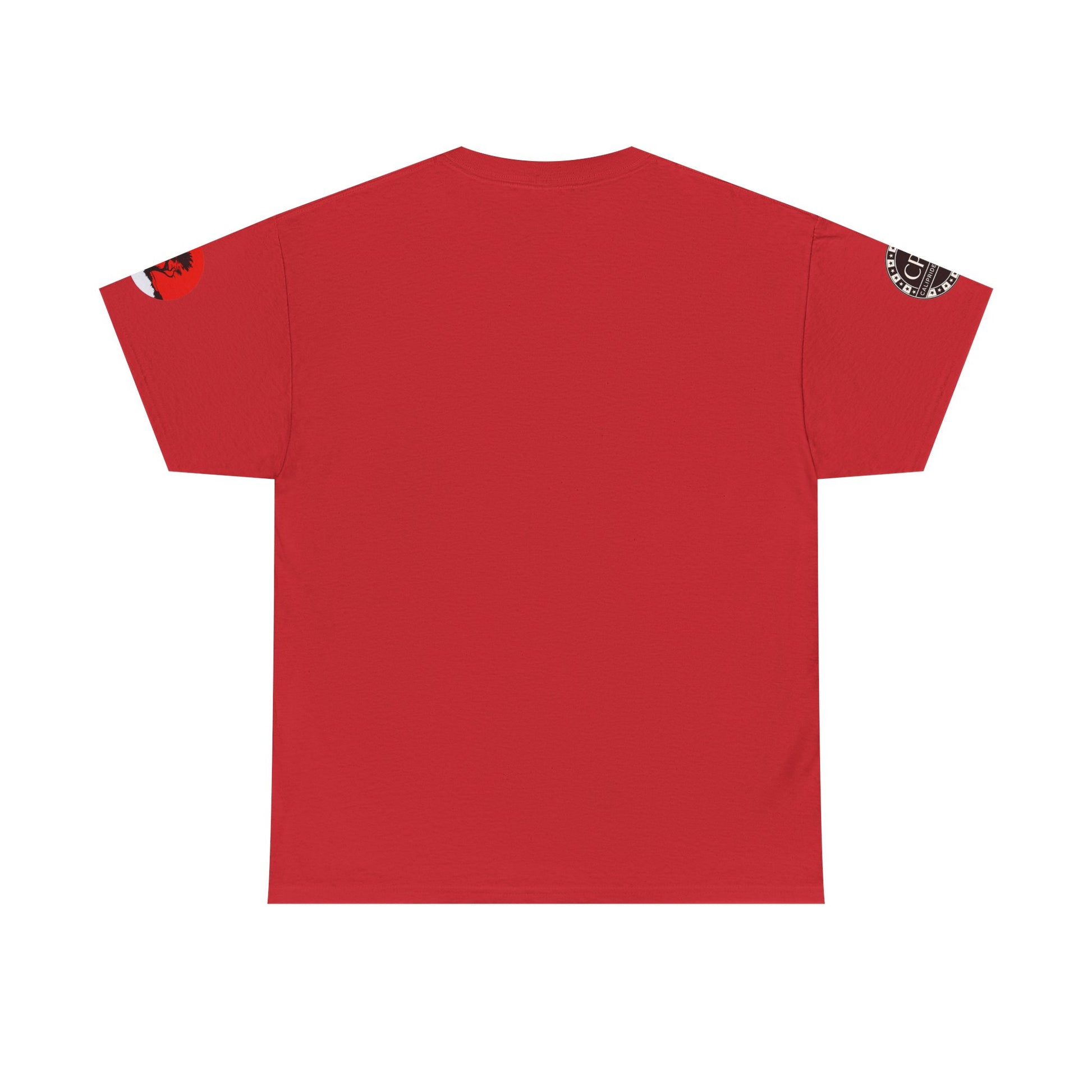 Urban Underground Collection - Skyline Series, "THE COAST" Graphic T Shirt — CP|C Elite
