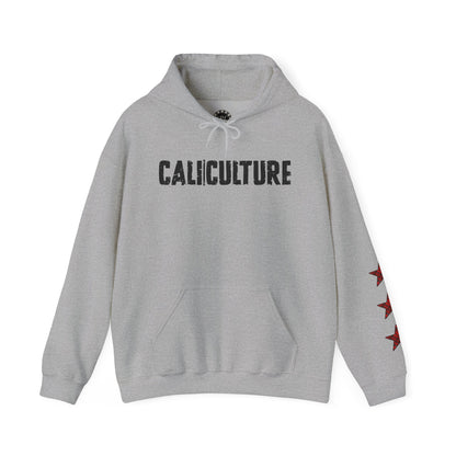 Skate & Surf Collection - CALI | CULTURE, Red Plaid Emblan w Stars Hoodie - CaliPride Clothing