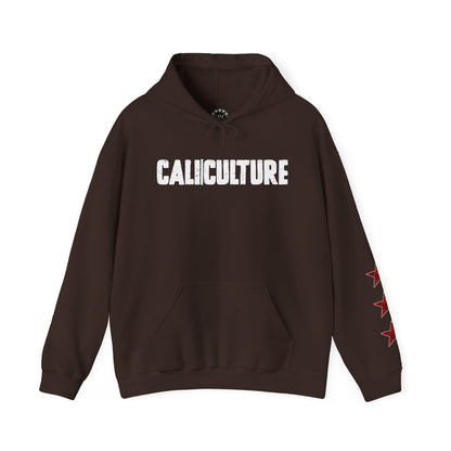 Skate & Surf Collection - CALI | CULTURE, Red Plaid Emblan w Stars Hoodie - CaliPride Clothing