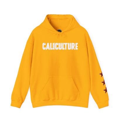 Skate & Surf Collection - CALI | CULTURE, Red Plaid Emblan w Stars Hoodie - CaliPride Clothing